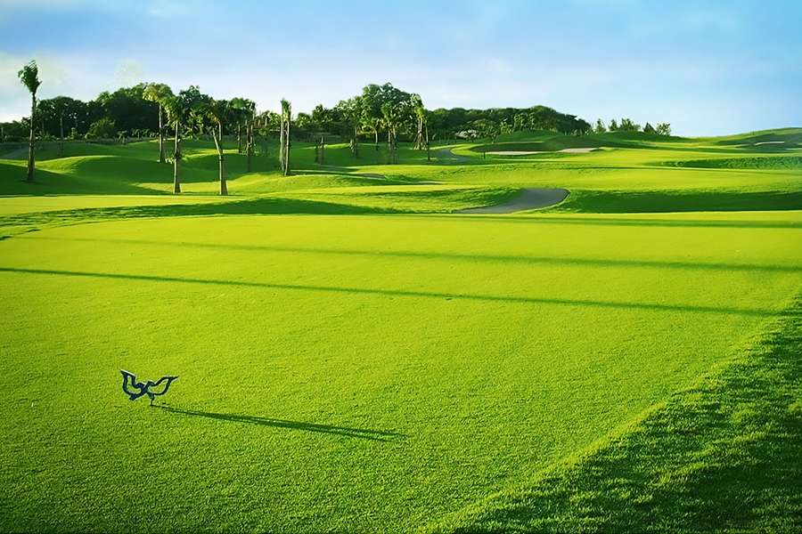 Twin Doves Golf Club - Danang golf package